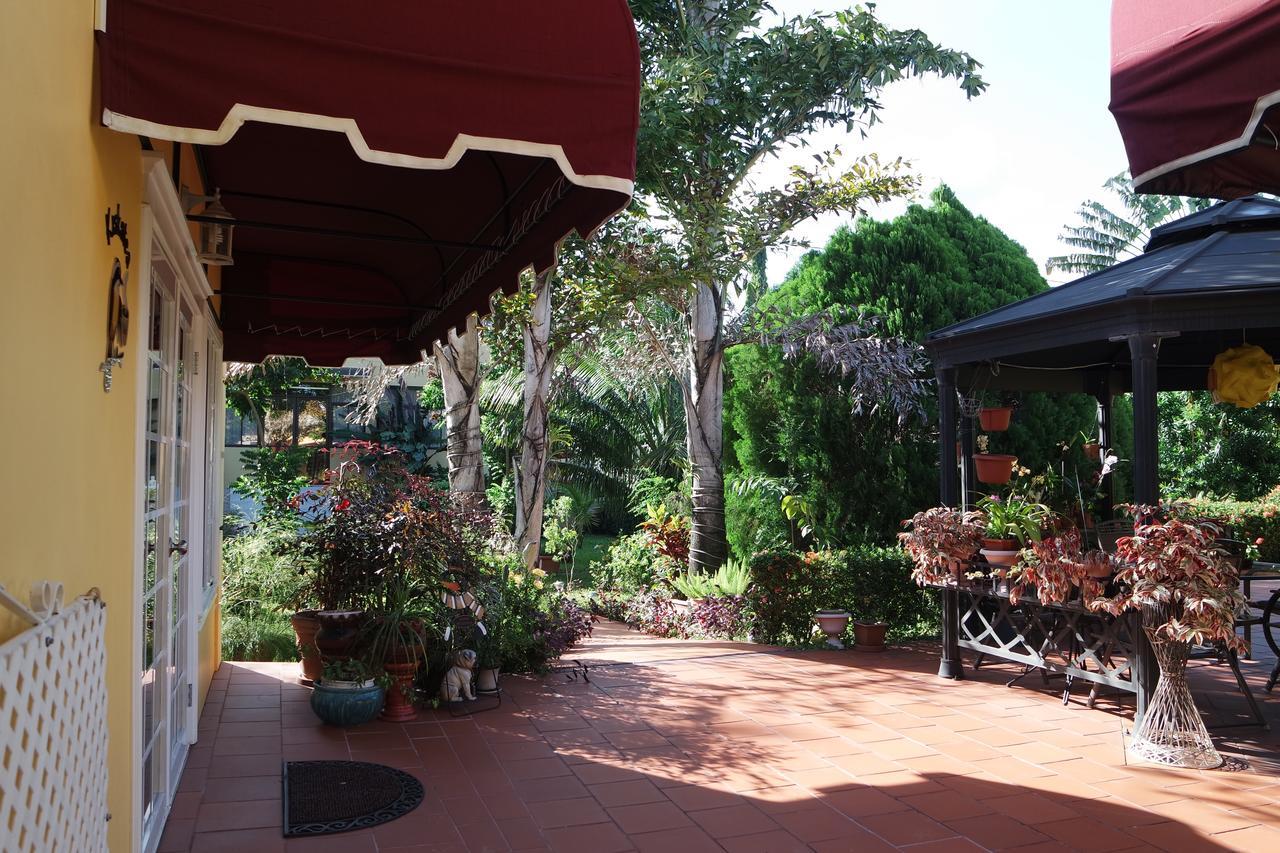 Hotel Kiskadee Korner Port of Spain Esterno foto